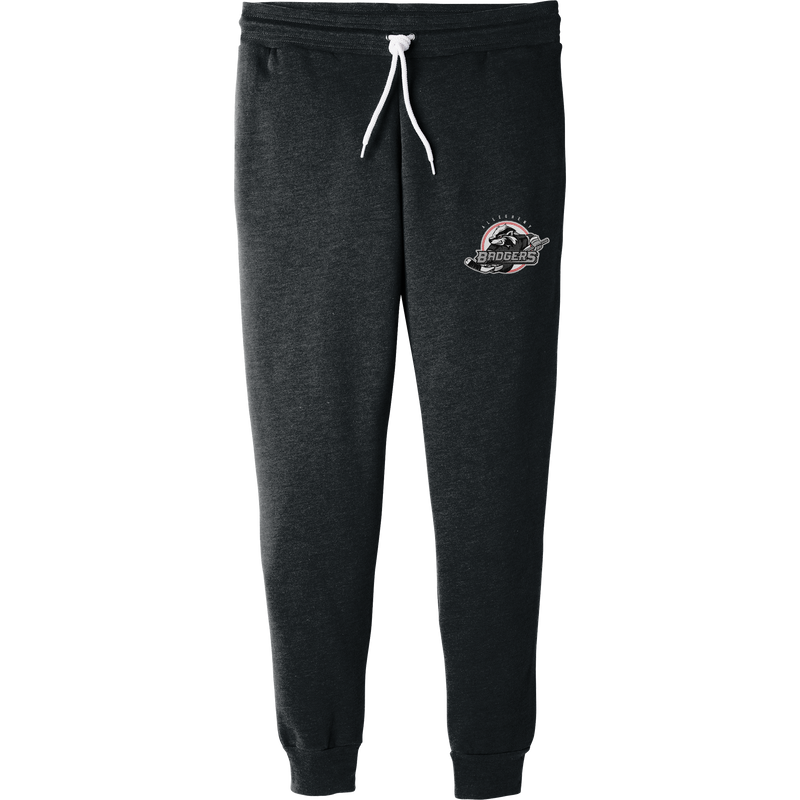 Allegheny Badgers Unisex Jogger Sweatpants